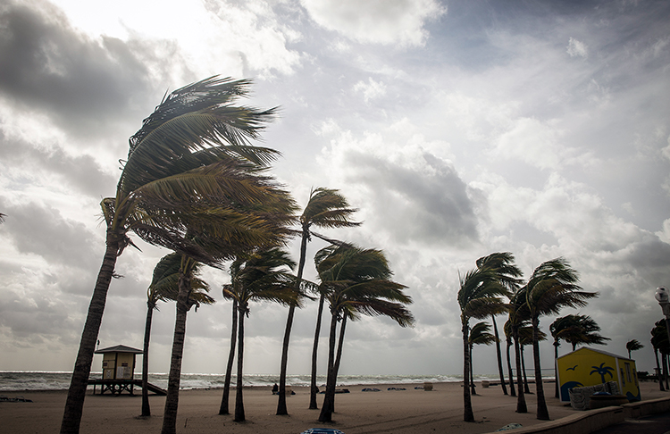 Read More About At Home During a Storm